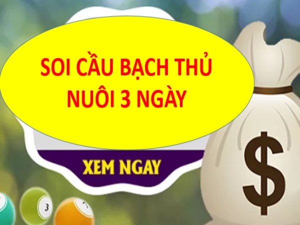 Nuôi bạch thủ lô khung có tỷ lệ trúng cao hơn so với các phương pháp soi cầu khác