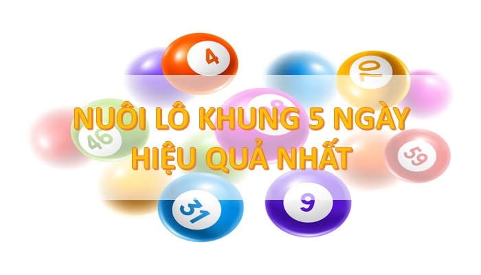 Chiến lược đặt cược lô kép khung 5 ngày dựa trên dữ liệu quá khứ 